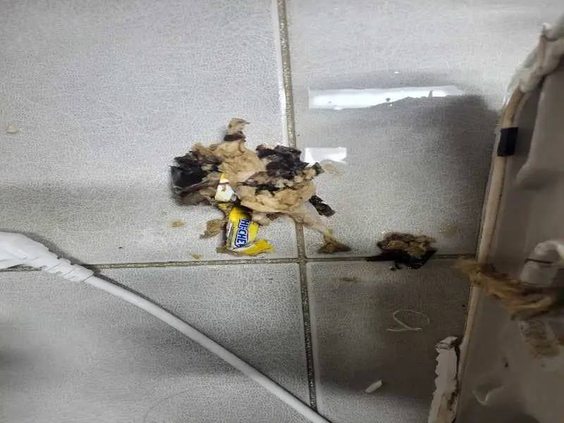 금천구 물티슈가 정화조를 막는 이유